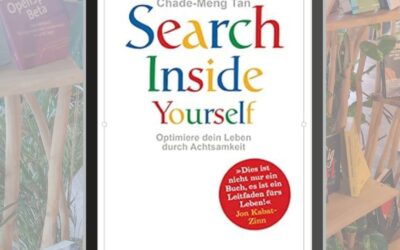 Buchvorstellung Search inside yourself